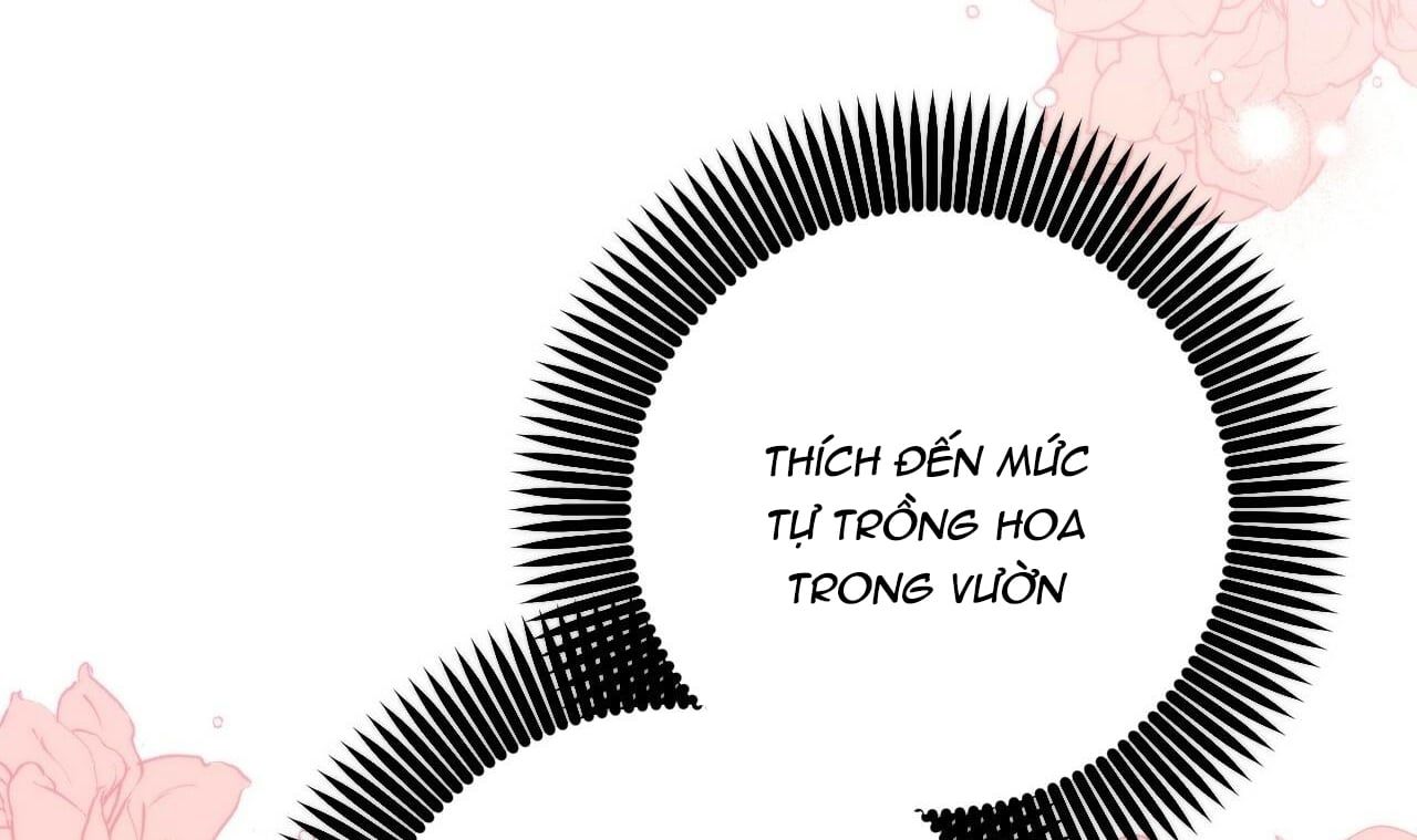 đọc truyện Những Chú Thỏ Của Hapypy Chương 44 ảnh 237 tại Giả Dược