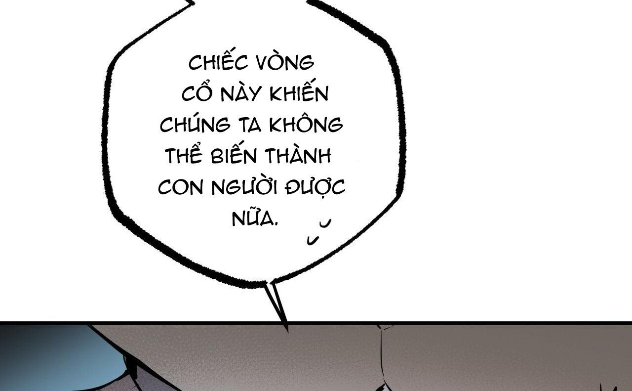 đọc truyện Những Chú Thỏ Của Hapypy Chương 46 ảnh 150 tại Giả Dược