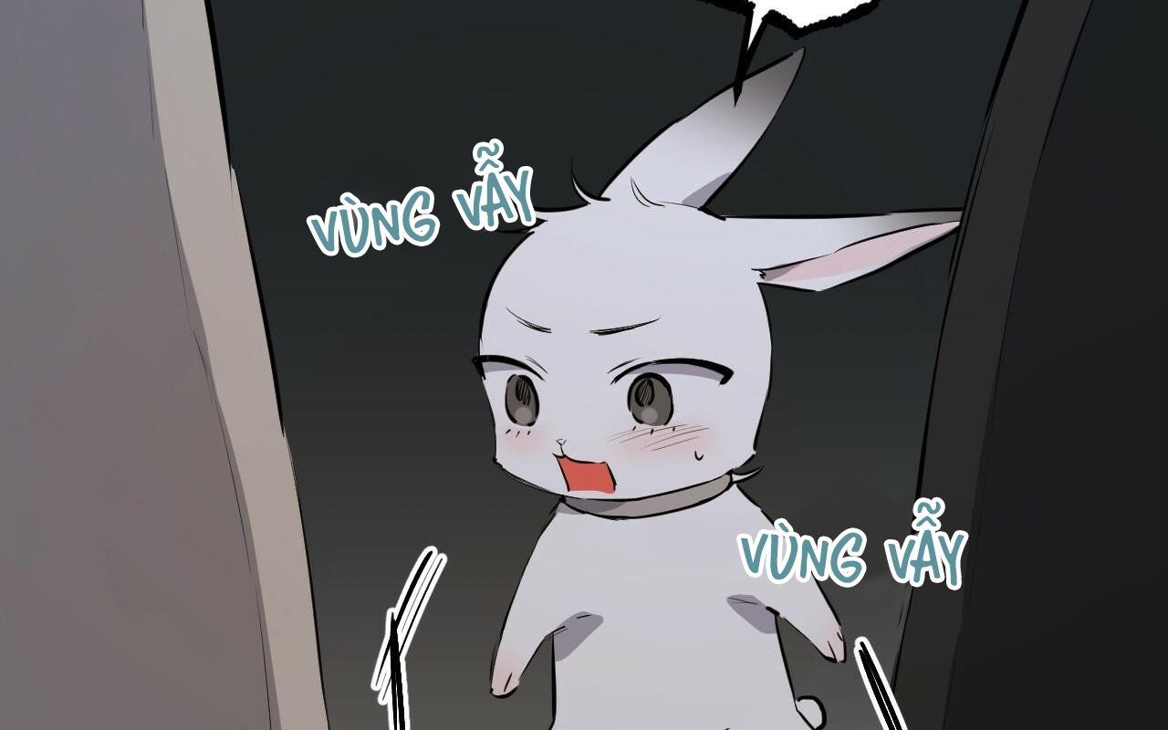 đọc truyện Những Chú Thỏ Của Hapypy Chương 46 ảnh 16 tại Giả Dược