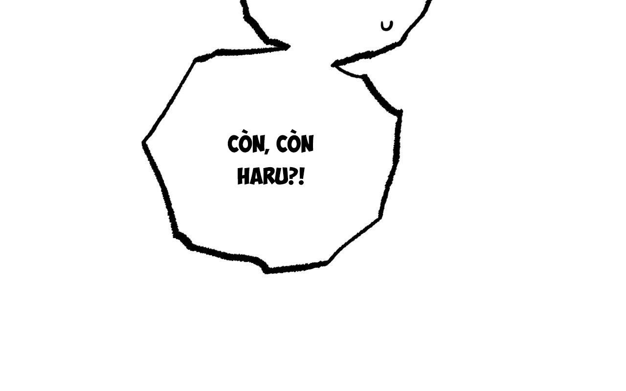 đọc truyện Những Chú Thỏ Của Hapypy Chương 46 ảnh 18 tại Giả Dược