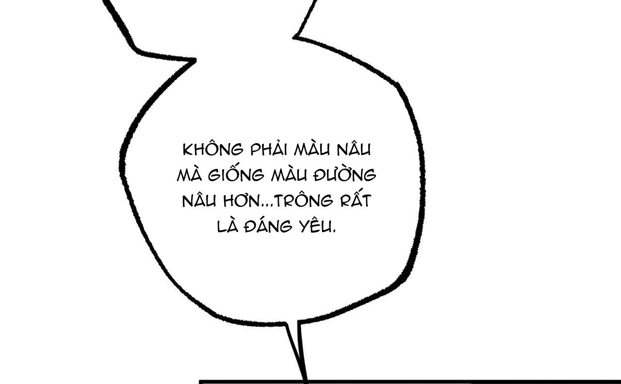 đọc truyện Những Chú Thỏ Của Hapypy Chương 46 ảnh 46 tại Giả Dược