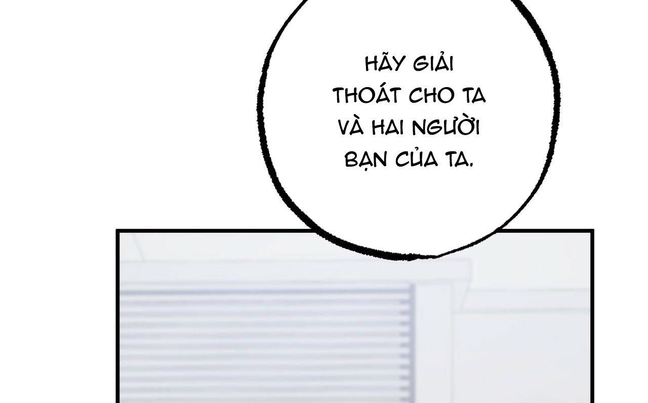 đọc truyện Những Chú Thỏ Của Hapypy Chương 47 ảnh 161 tại Giả Dược