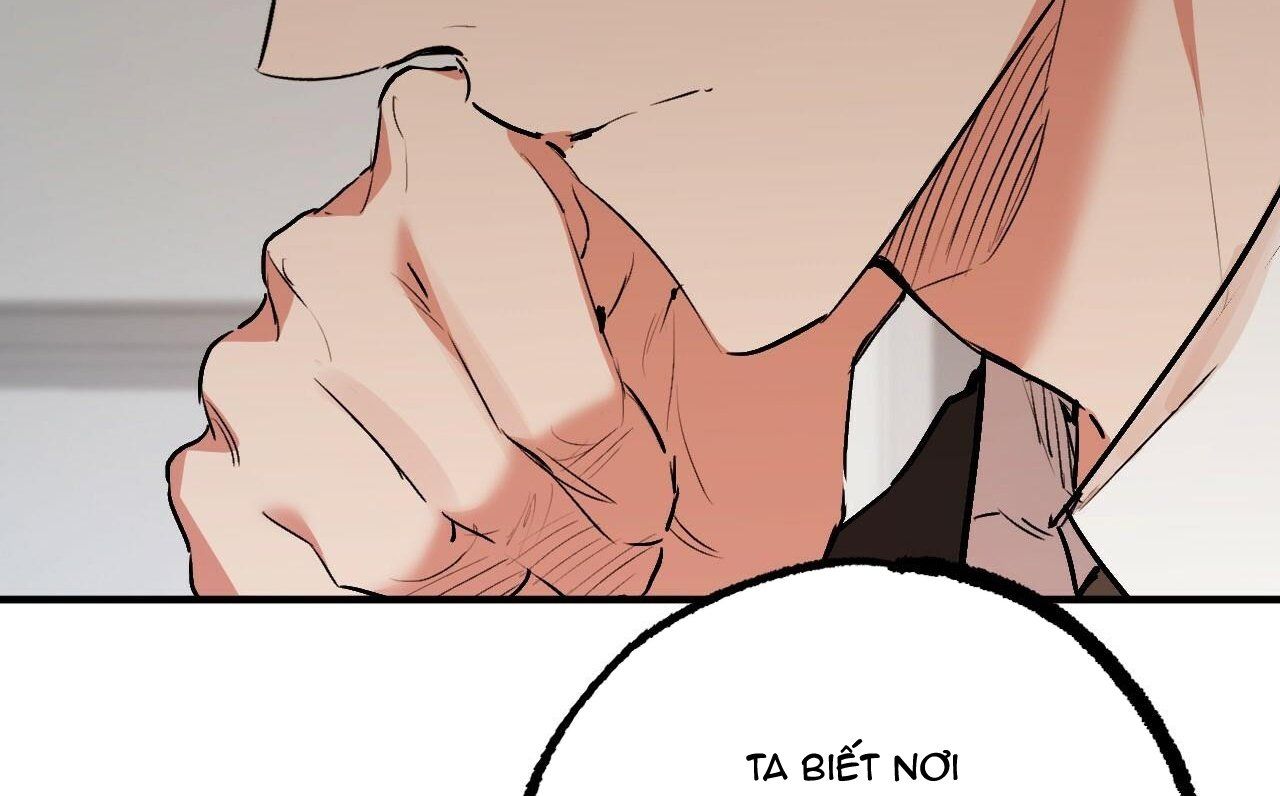 đọc truyện Những Chú Thỏ Của Hapypy Chương 47 ảnh 166 tại Giả Dược