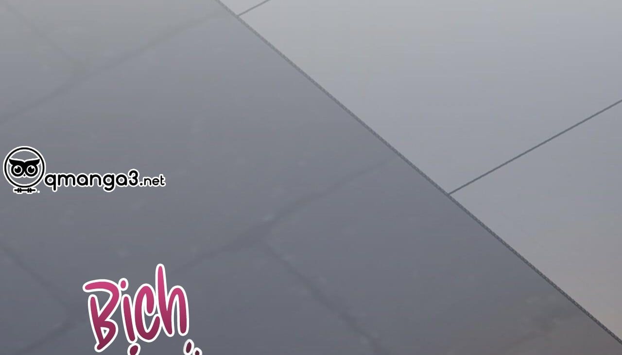 đọc truyện Những Chú Thỏ Của Hapypy Chương 47 ảnh 299 tại Giả Dược