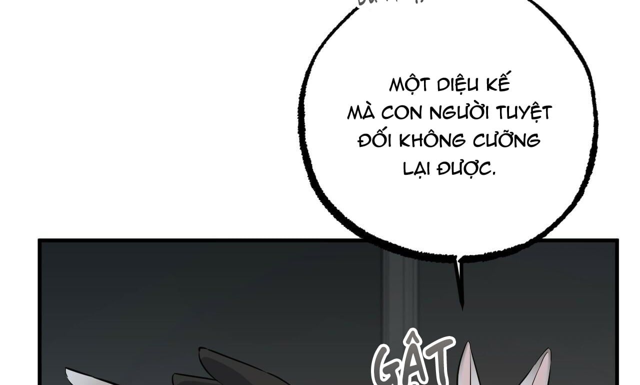 đọc truyện Những Chú Thỏ Của Hapypy Chương 47 ảnh 7 tại Giả Dược