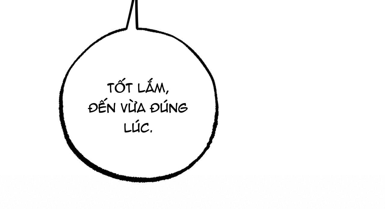 đọc truyện Những Chú Thỏ Của Hapypy Chương 47 ảnh 67 tại Giả Dược