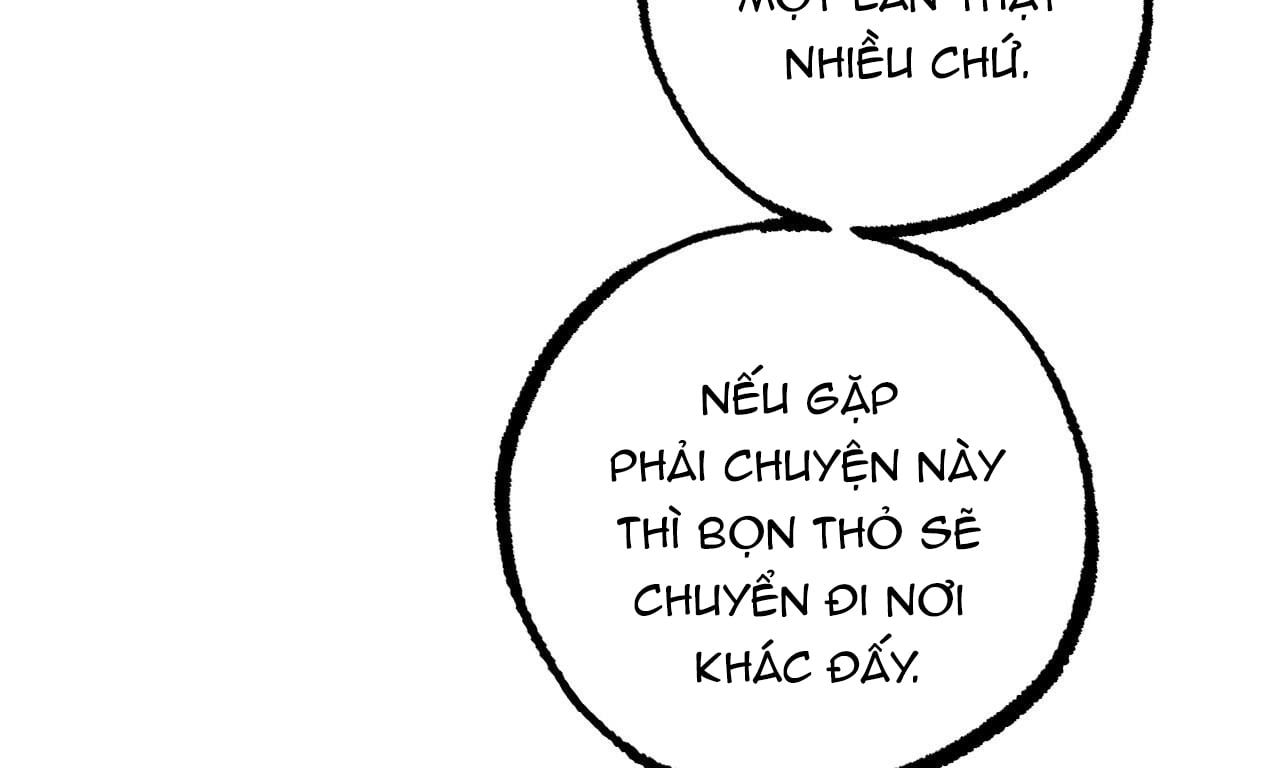 đọc truyện Những Chú Thỏ Của Hapypy Chương 48 ảnh 12 tại Giả Dược
