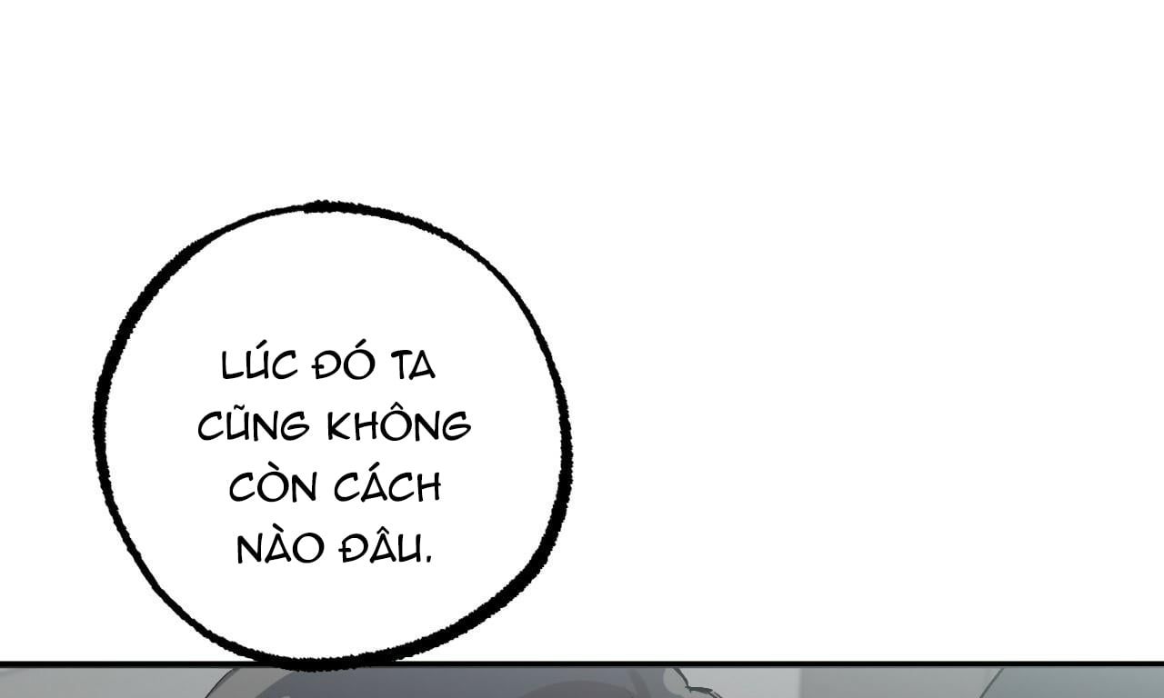 đọc truyện Những Chú Thỏ Của Hapypy Chương 48 ảnh 14 tại Giả Dược