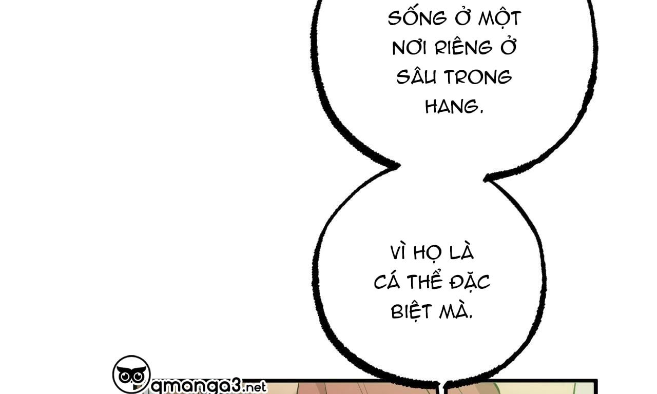 đọc truyện Những Chú Thỏ Của Hapypy Chương 49 ảnh 14 tại Giả Dược