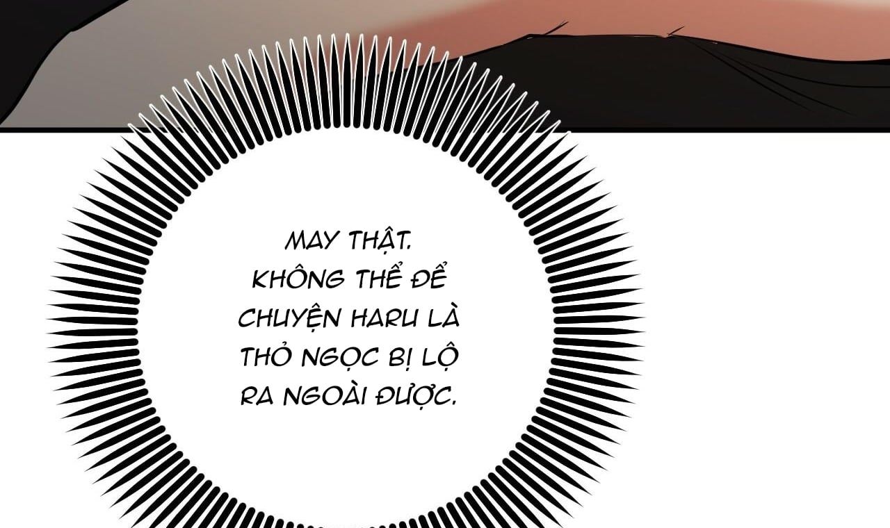 đọc truyện Những Chú Thỏ Của Hapypy Chương 49 ảnh 173 tại Giả Dược