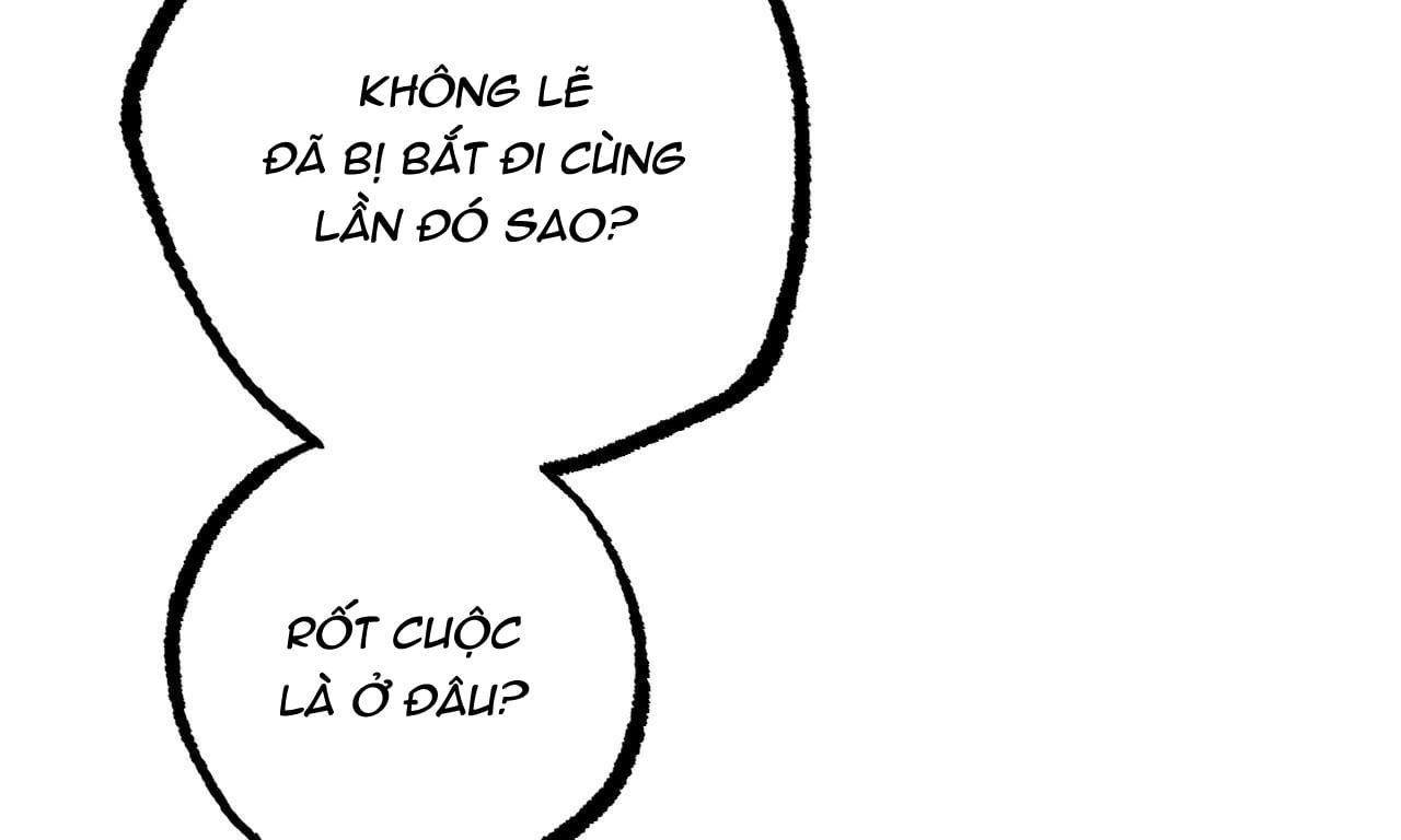 đọc truyện Những Chú Thỏ Của Hapypy Chương 49 ảnh 261 tại Giả Dược