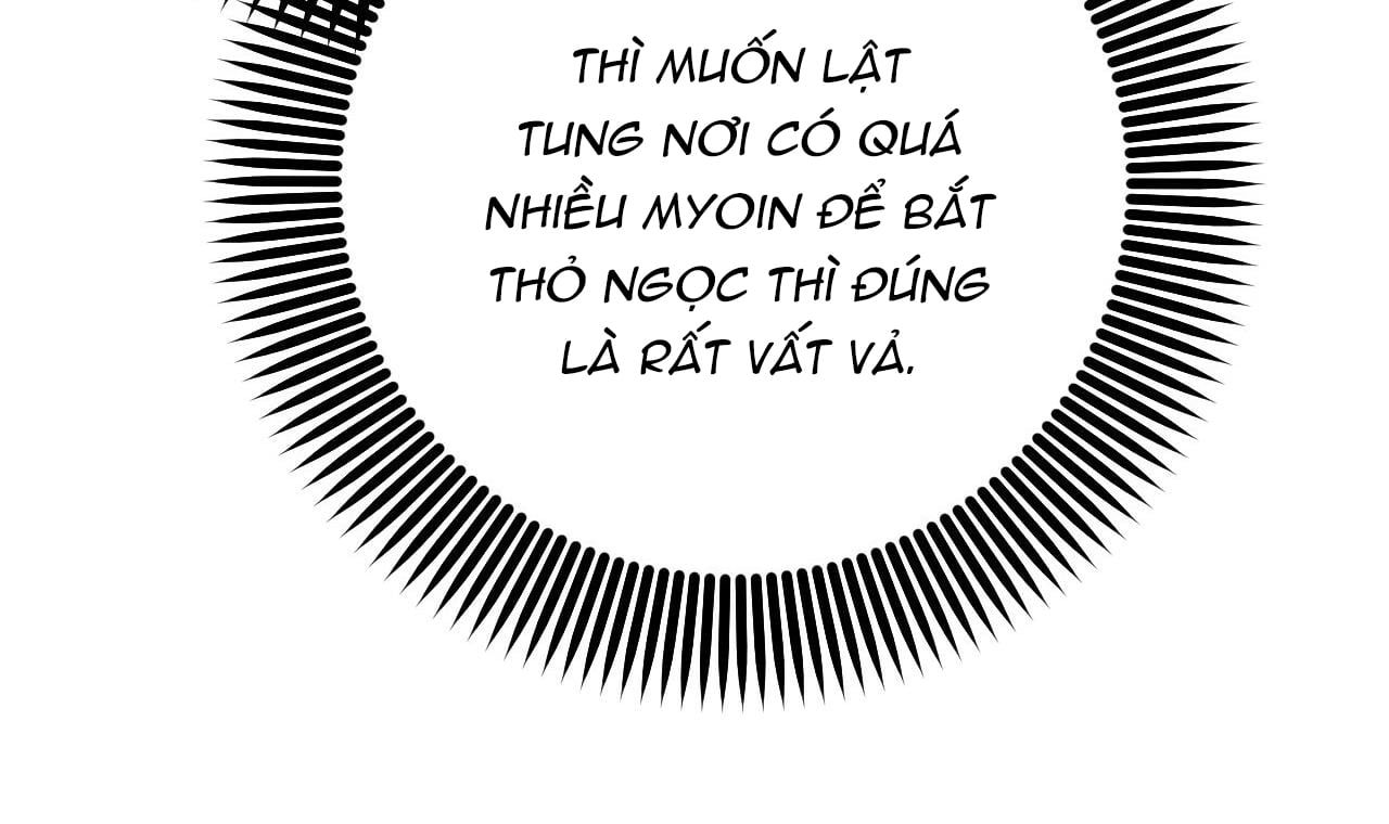 đọc truyện Những Chú Thỏ Của Hapypy Chương 49 ảnh 42 tại Giả Dược