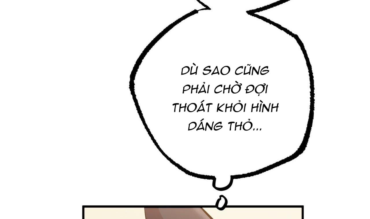 đọc truyện Những Chú Thỏ Của Hapypy Chương 49 ảnh 48 tại Giả Dược