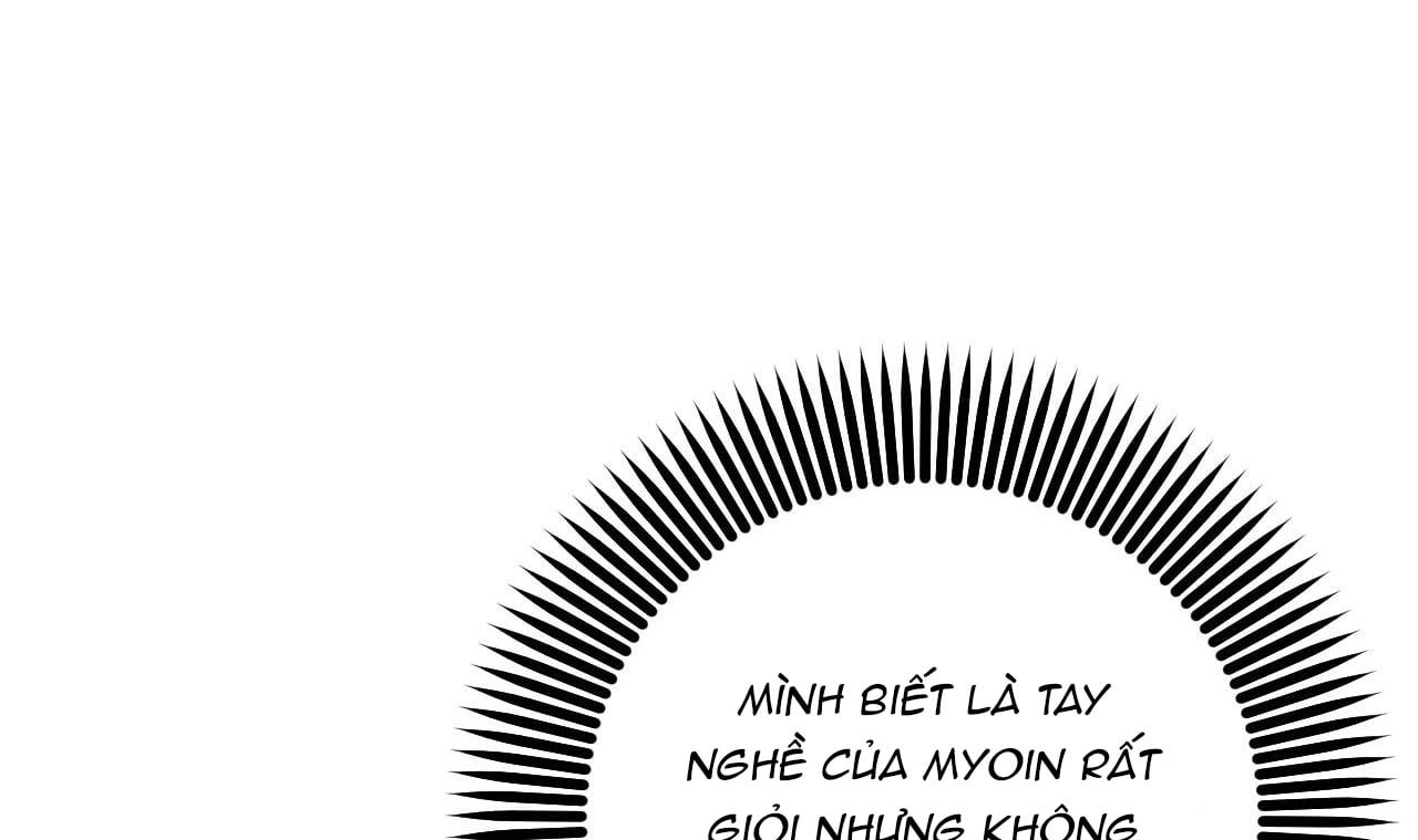 đọc truyện Những Chú Thỏ Của Hapypy Chương 49 ảnh 56 tại Giả Dược
