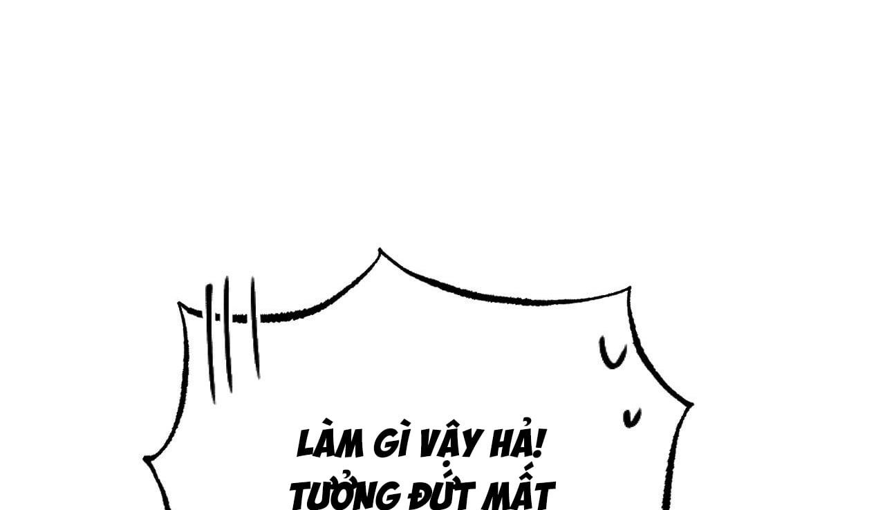 đọc truyện Những Chú Thỏ Của Hapypy Chương 5 ảnh 23 tại Giả Dược
