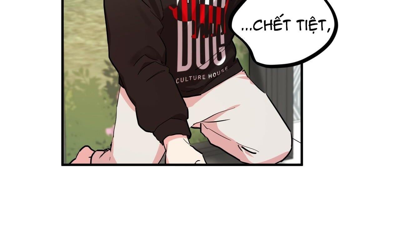 đọc truyện Những Chú Thỏ Của Hapypy Chương 5 ảnh 241 tại Giả Dược