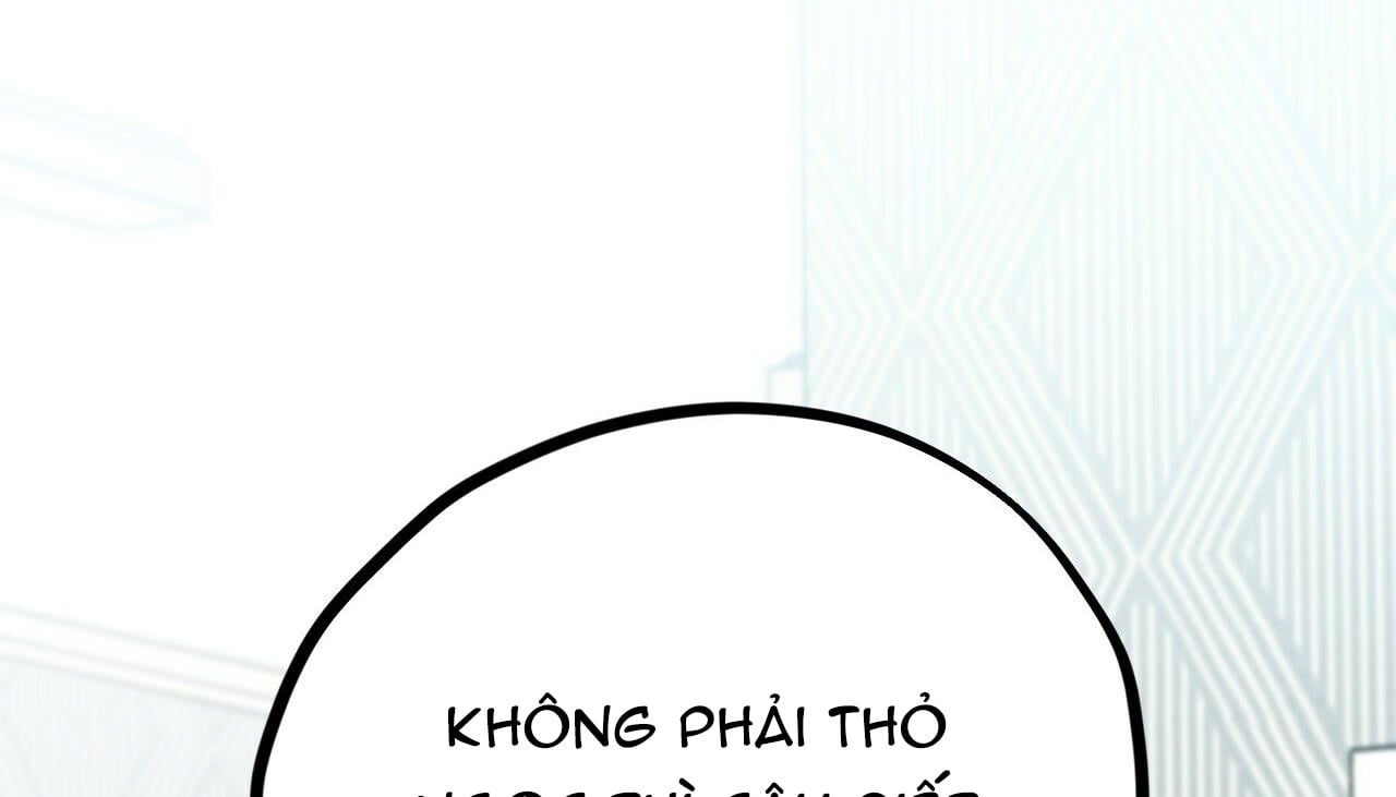 đọc truyện Những Chú Thỏ Của Hapypy Chương 5 ảnh 47 tại Giả Dược