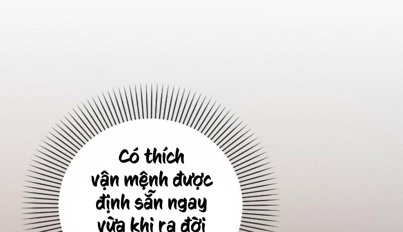 đọc truyện Những Chú Thỏ Của Hapypy Chương 5 ảnh 100 tại Giả Dược