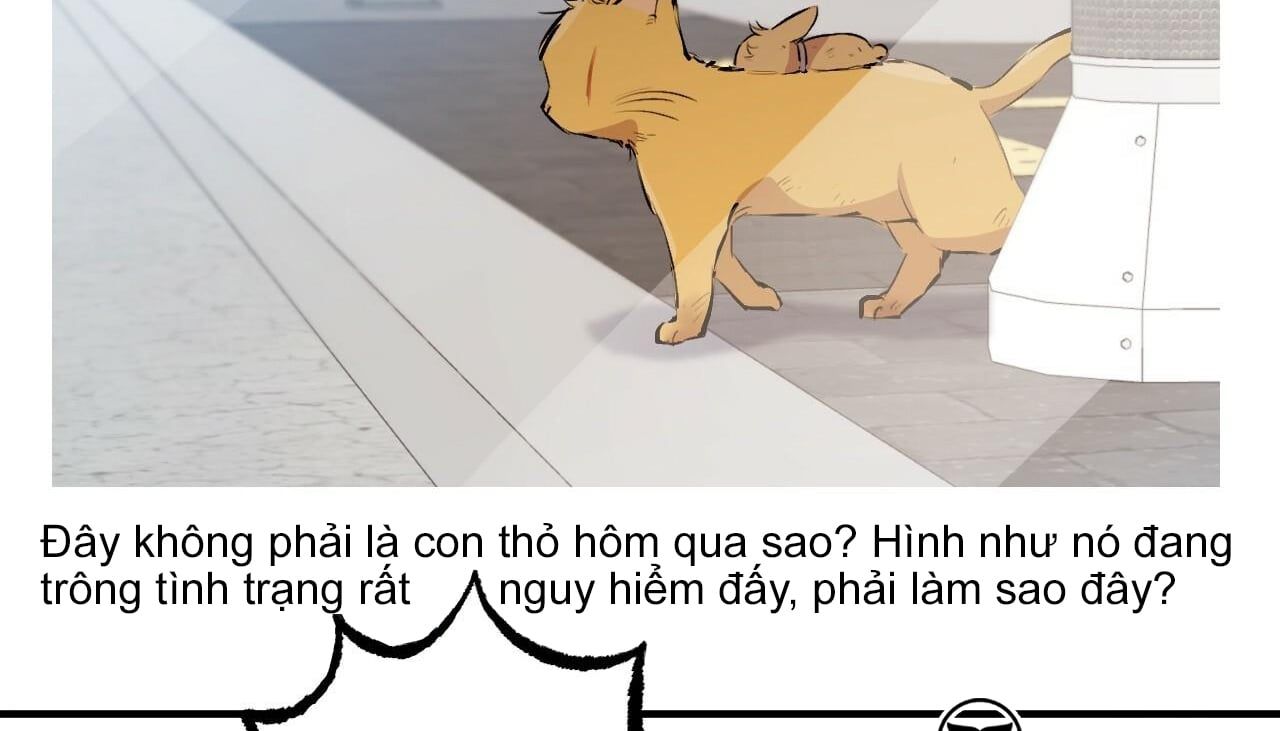 đọc truyện Những Chú Thỏ Của Hapypy Chương 50 ảnh 105 tại Giả Dược