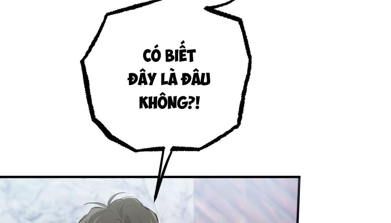 đọc truyện Những Chú Thỏ Của Hapypy Chương 50 ảnh 112 tại Giả Dược