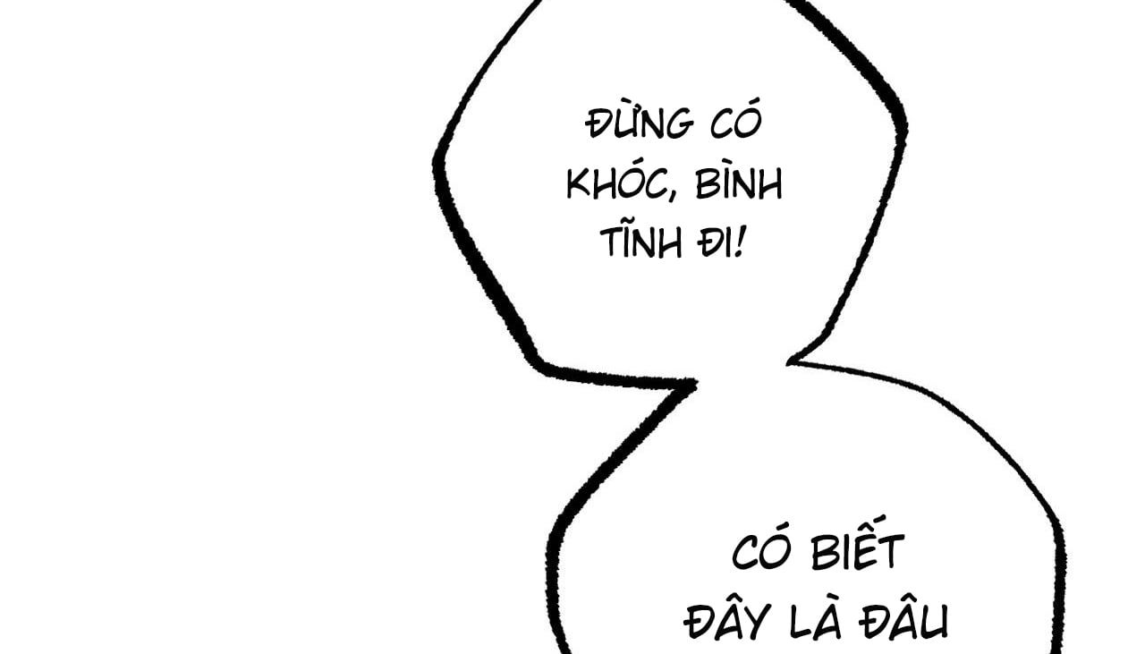 đọc truyện Những Chú Thỏ Của Hapypy Chương 50 ảnh 123 tại Giả Dược