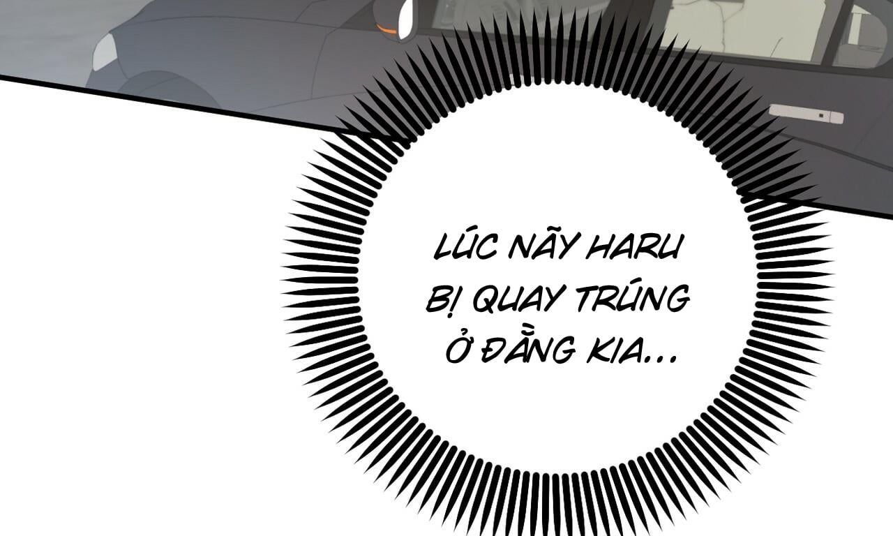 đọc truyện Những Chú Thỏ Của Hapypy Chương 50 ảnh 180 tại Giả Dược