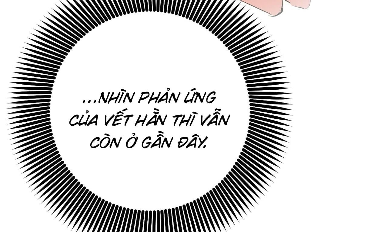 đọc truyện Những Chú Thỏ Của Hapypy Chương 50 ảnh 183 tại Giả Dược
