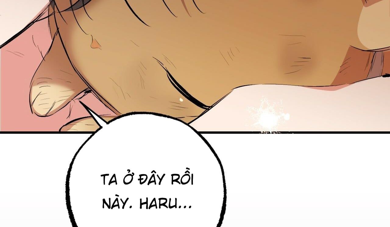 đọc truyện Những Chú Thỏ Của Hapypy Chương 50 ảnh 245 tại Giả Dược