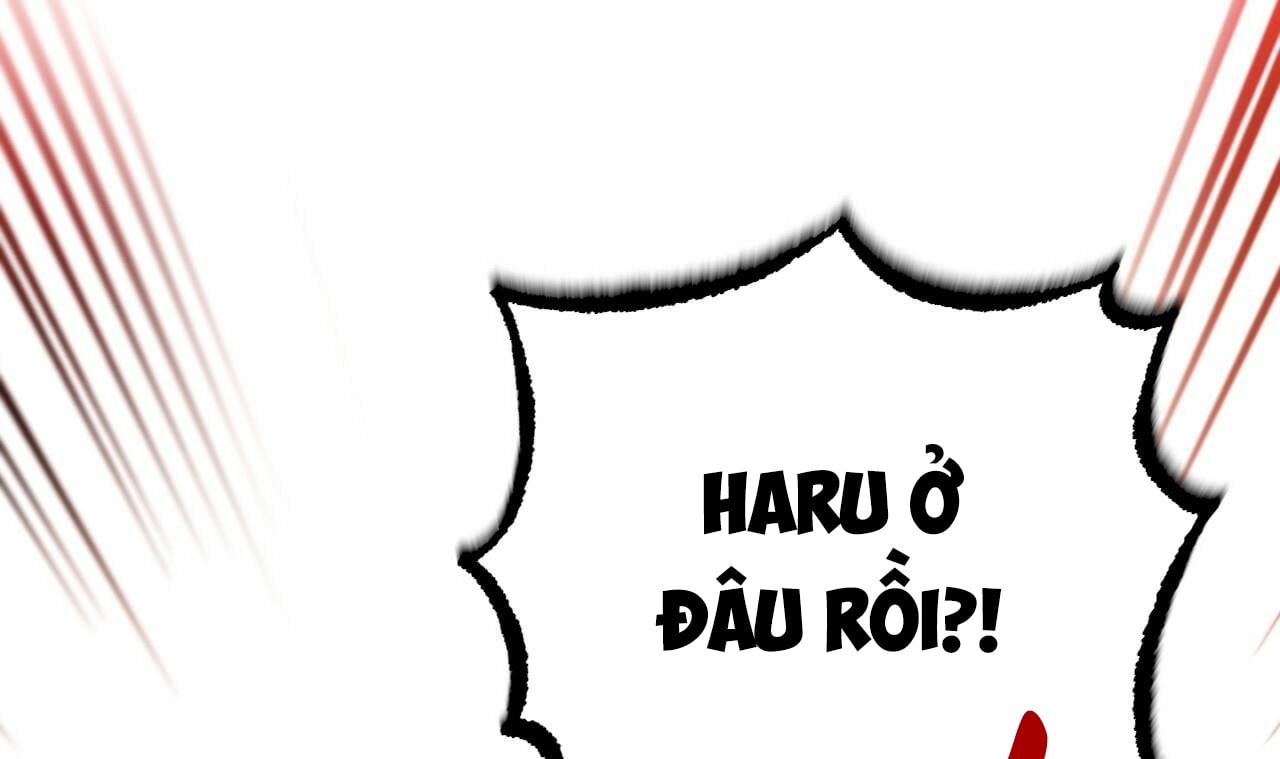 đọc truyện Những Chú Thỏ Của Hapypy Chương 50 ảnh 53 tại Giả Dược