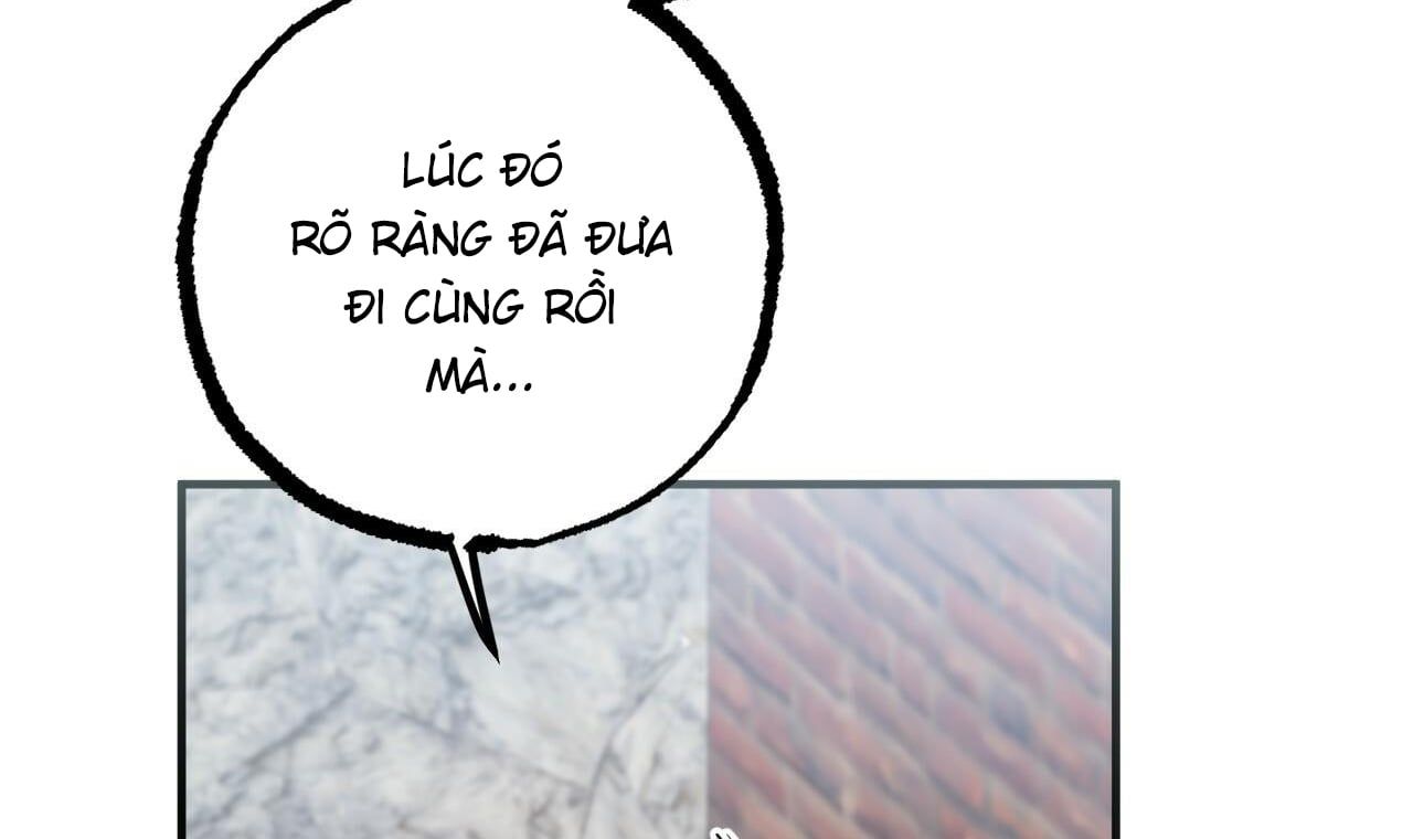 đọc truyện Những Chú Thỏ Của Hapypy Chương 50 ảnh 65 tại Giả Dược