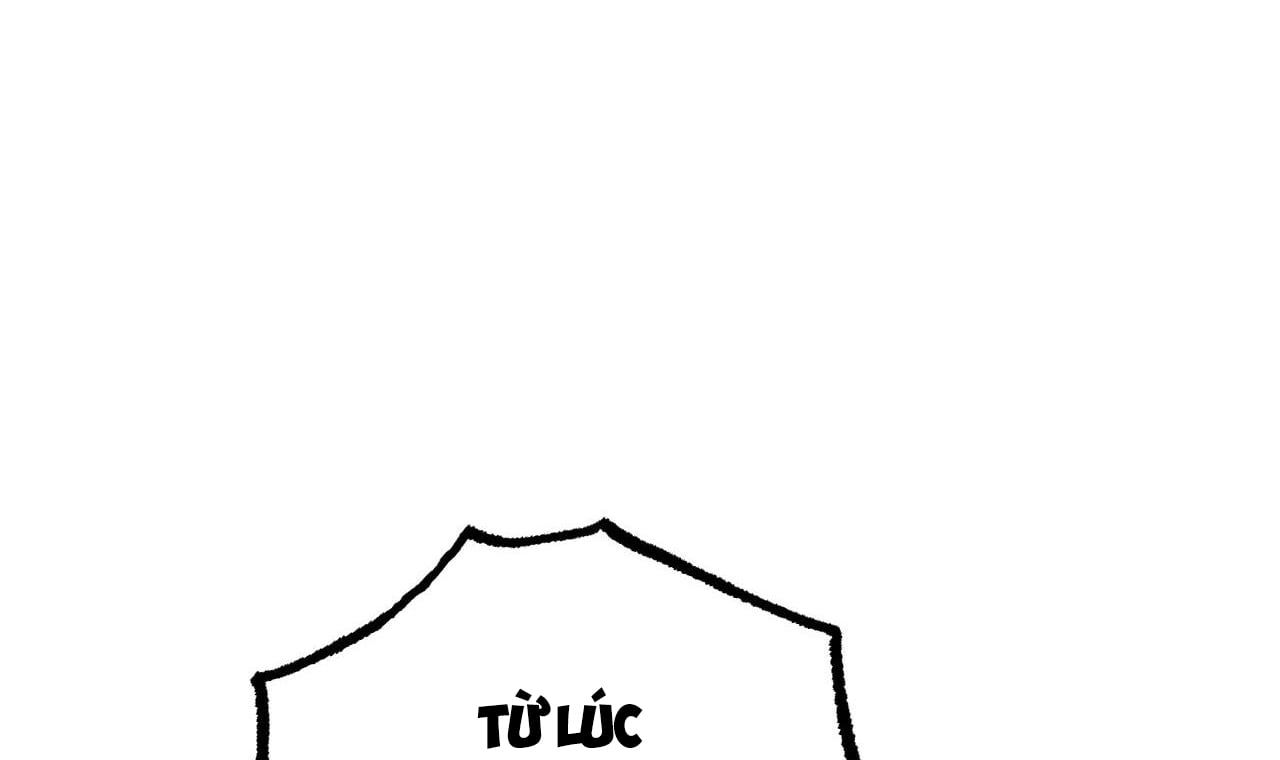 đọc truyện Những Chú Thỏ Của Hapypy Chương 50 ảnh 72 tại Giả Dược