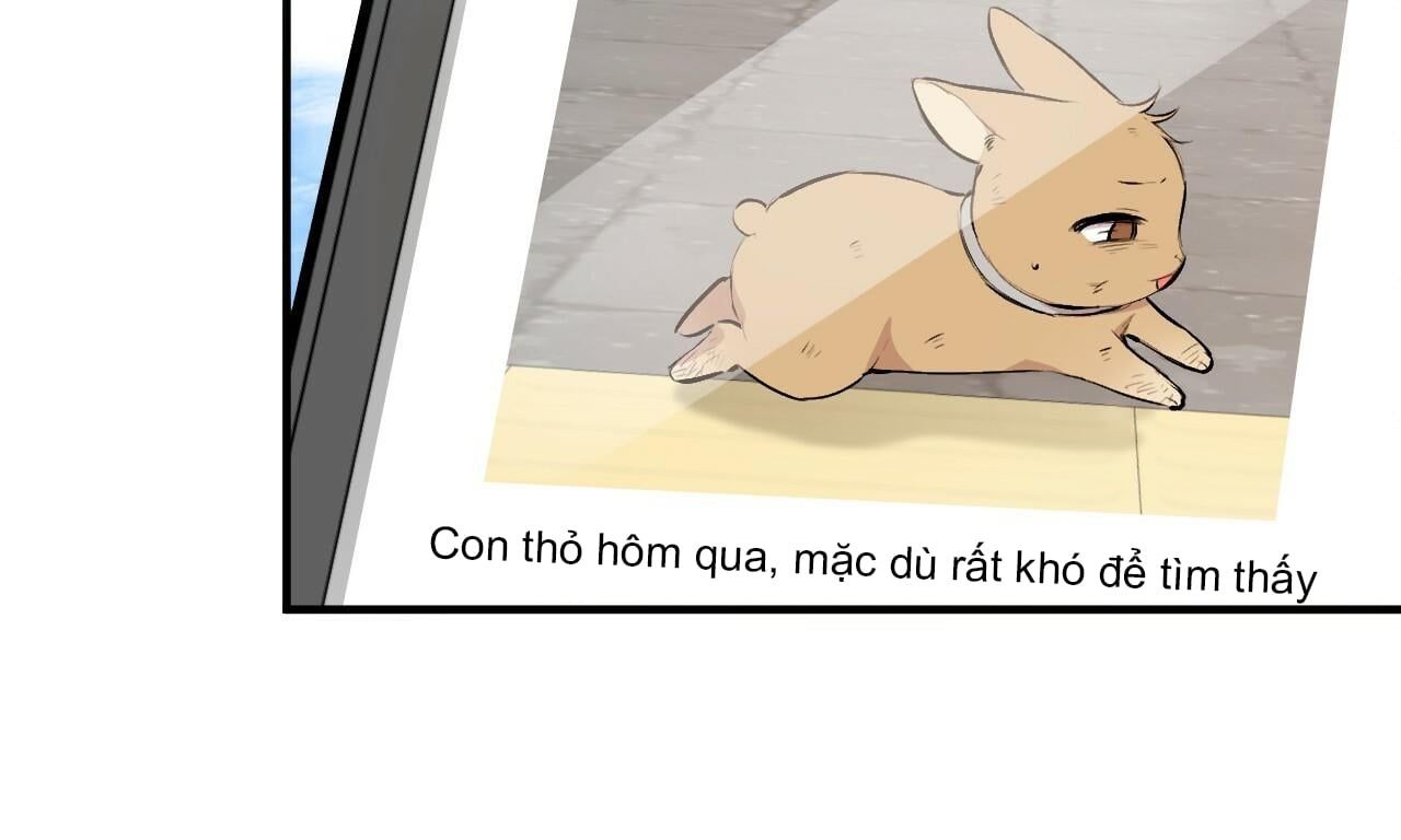 đọc truyện Những Chú Thỏ Của Hapypy Chương 50 ảnh 97 tại Giả Dược