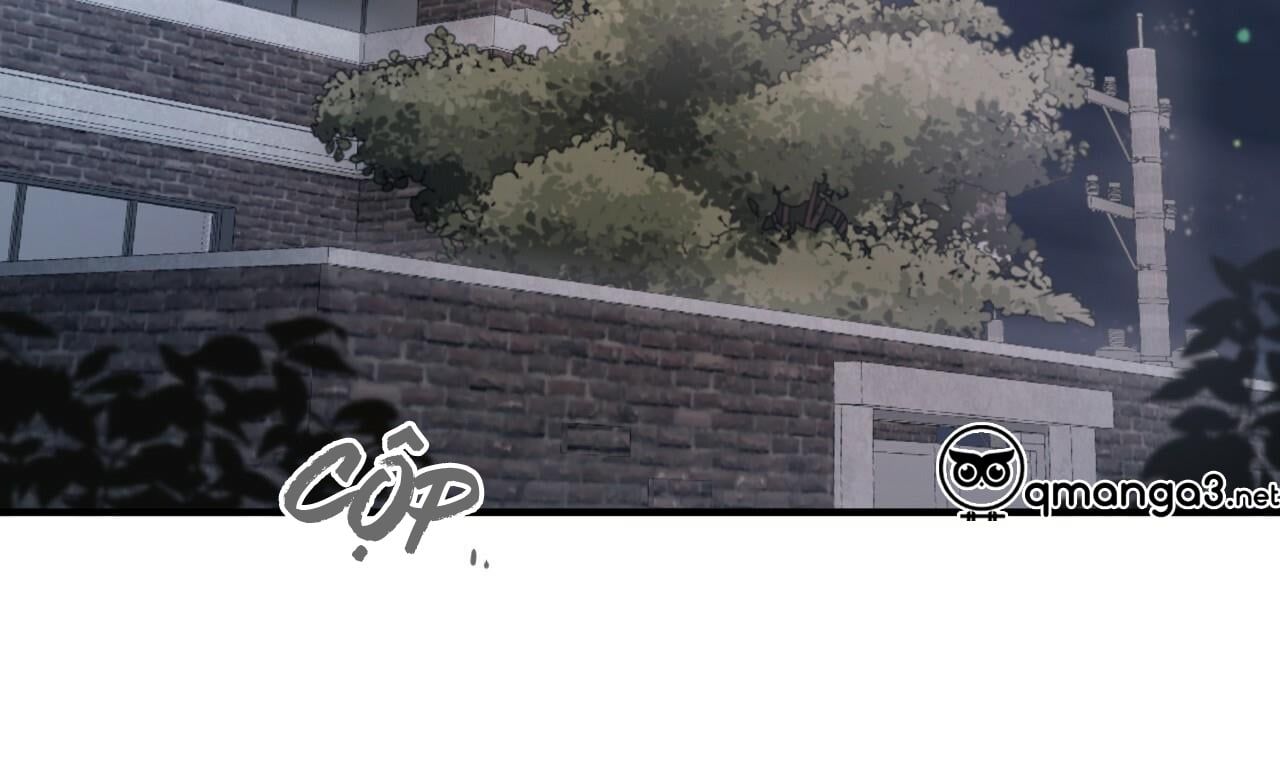 đọc truyện Những Chú Thỏ Của Hapypy Chương 51 ảnh 277 tại Giả Dược