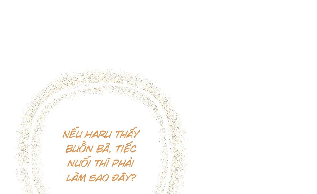 đọc truyện Những Chú Thỏ Của Hapypy Chương 52 ảnh 109 tại Giả Dược