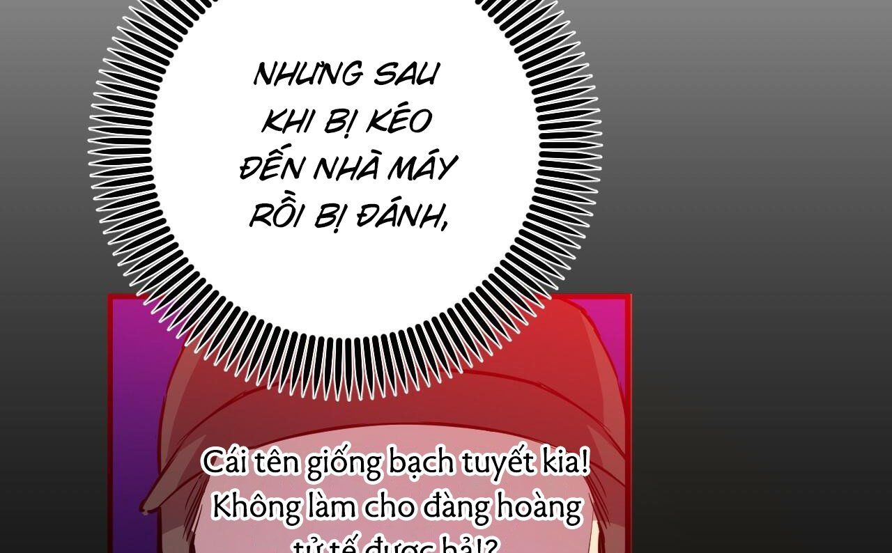 đọc truyện Những Chú Thỏ Của Hapypy Chương 52 ảnh 16 tại Giả Dược