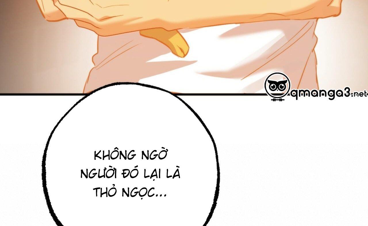 đọc truyện Những Chú Thỏ Của Hapypy Chương 52 ảnh 162 tại Giả Dược