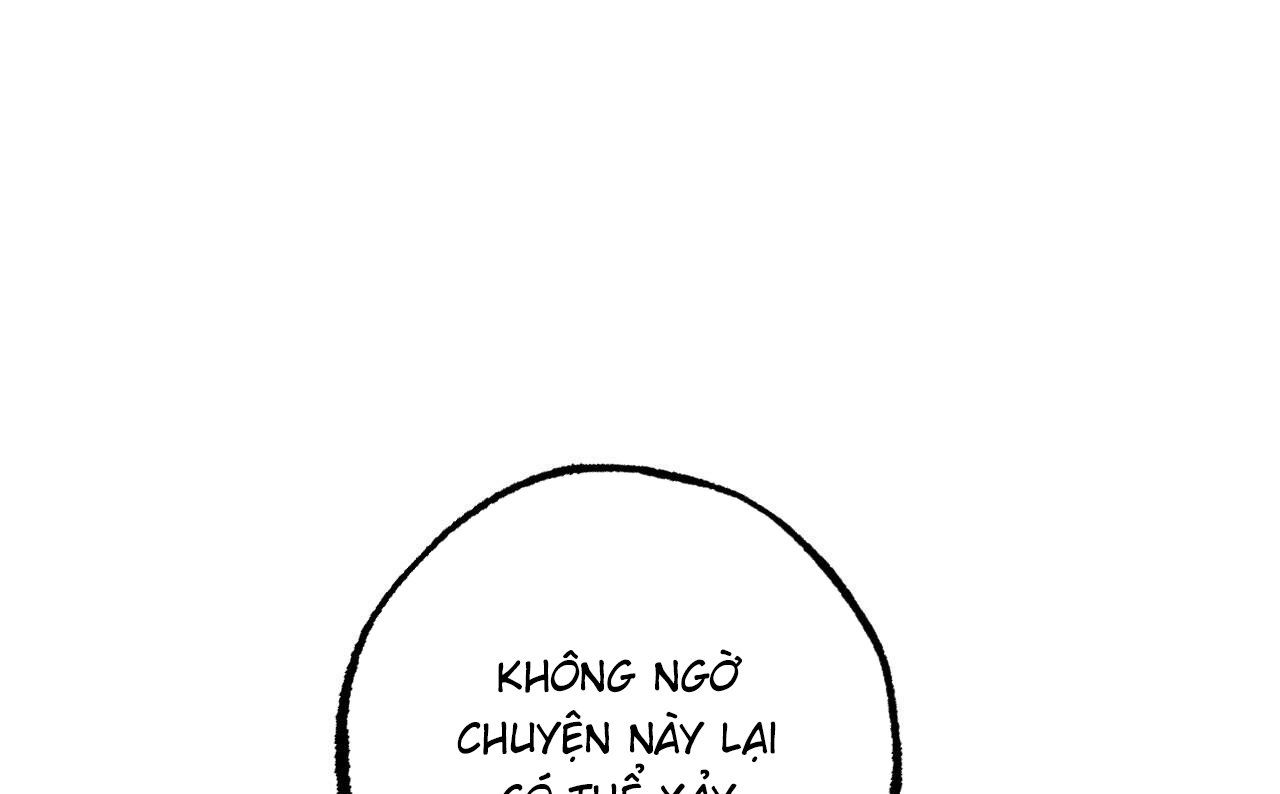 đọc truyện Những Chú Thỏ Của Hapypy Chương 52 ảnh 177 tại Giả Dược