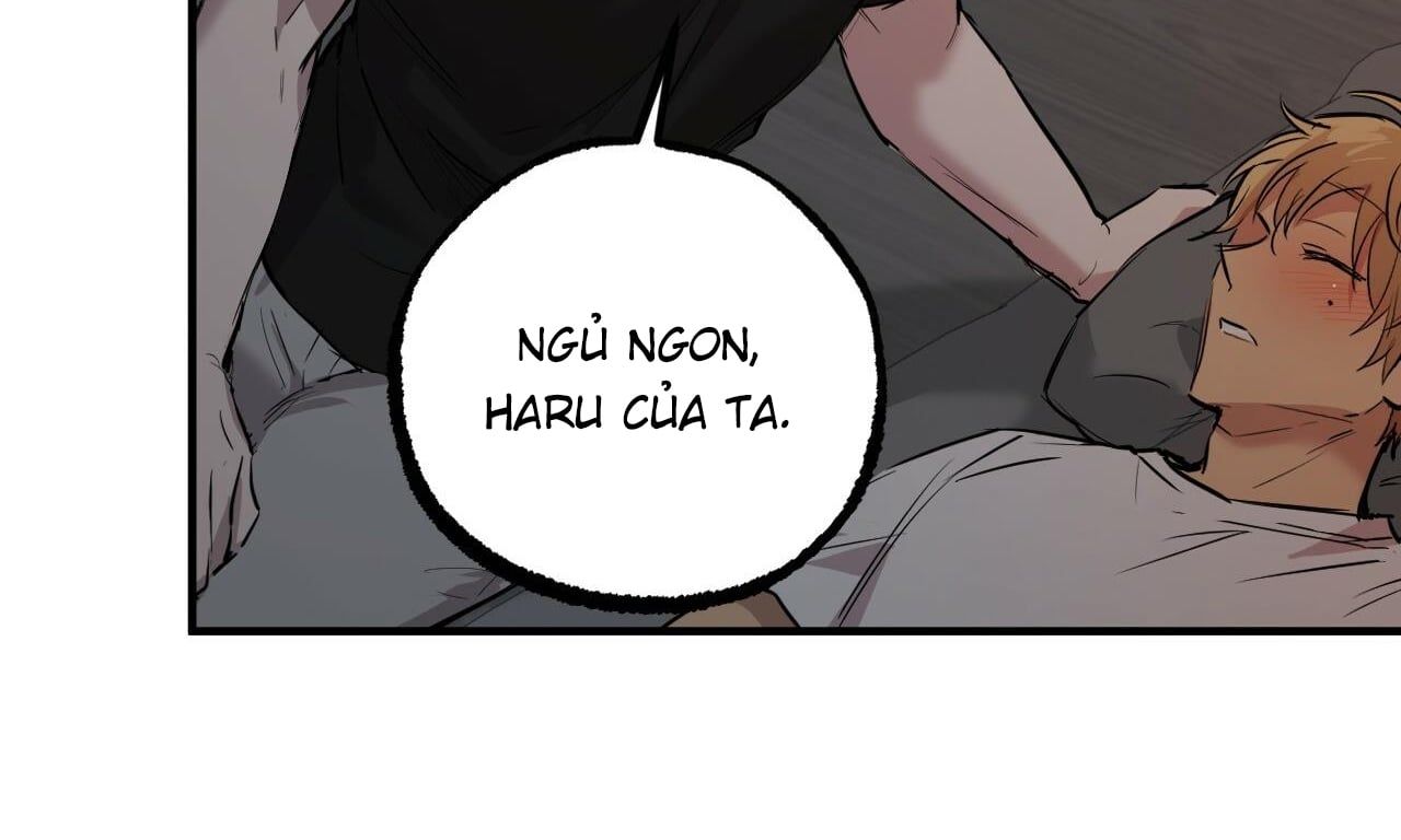 đọc truyện Những Chú Thỏ Của Hapypy Chương 52 ảnh 229 tại Giả Dược