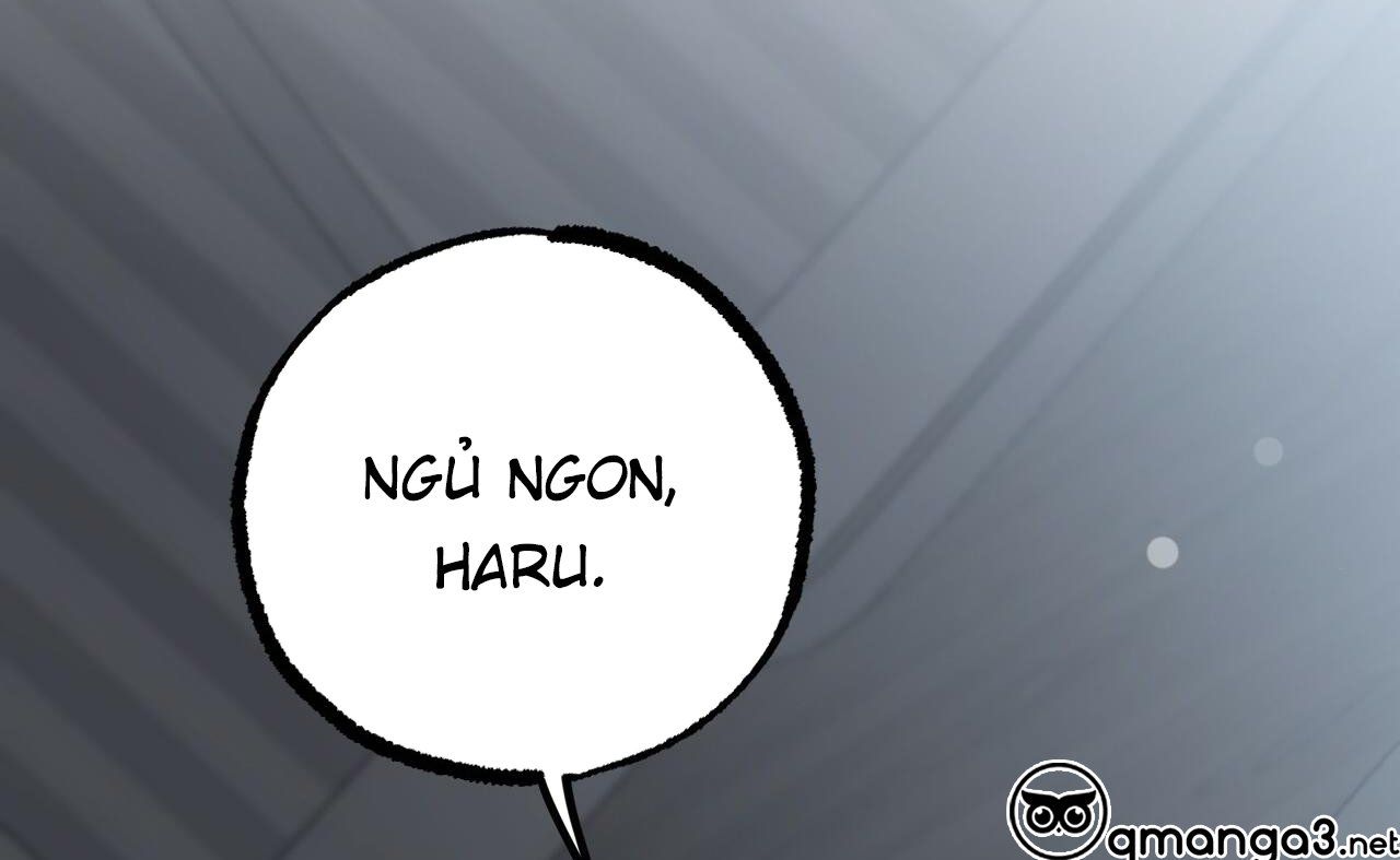 đọc truyện Những Chú Thỏ Của Hapypy Chương 52 ảnh 248 tại Giả Dược