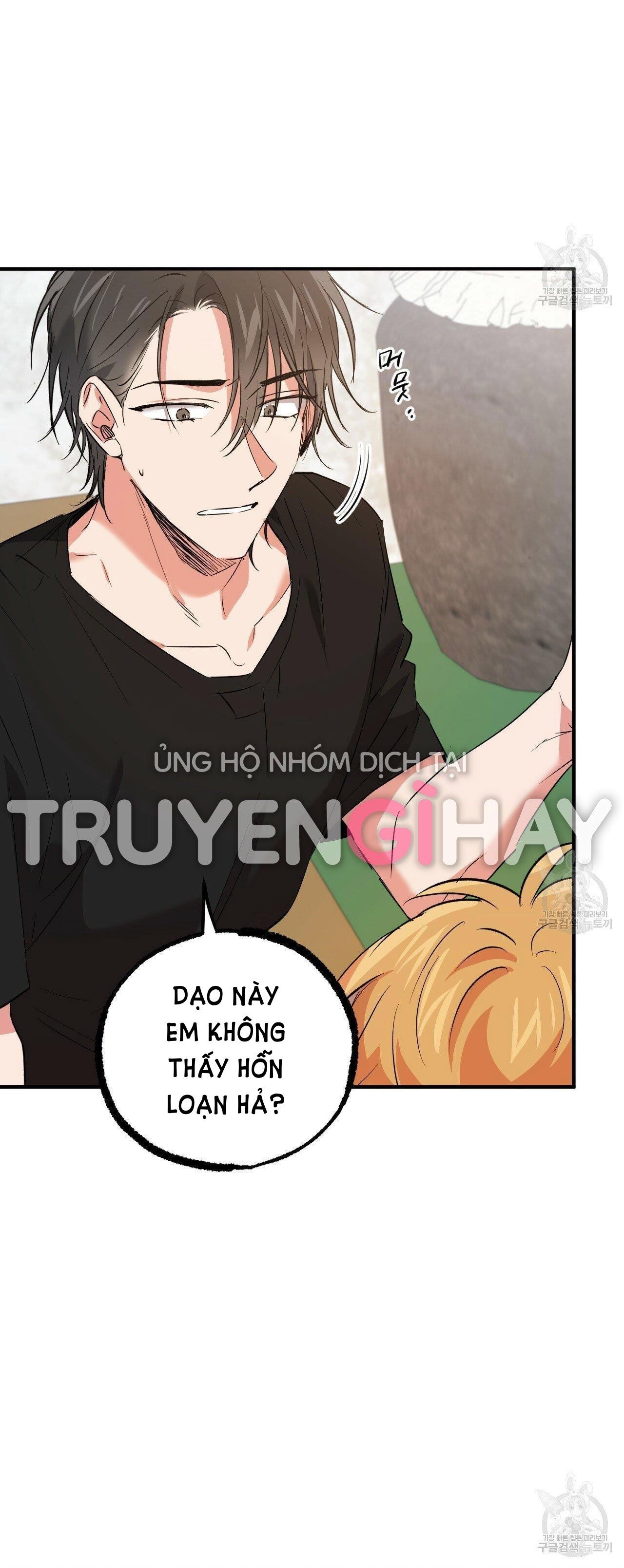 đọc truyện Những Chú Thỏ Của Hapypy Chương 53.1 ảnh 17 tại Giả Dược