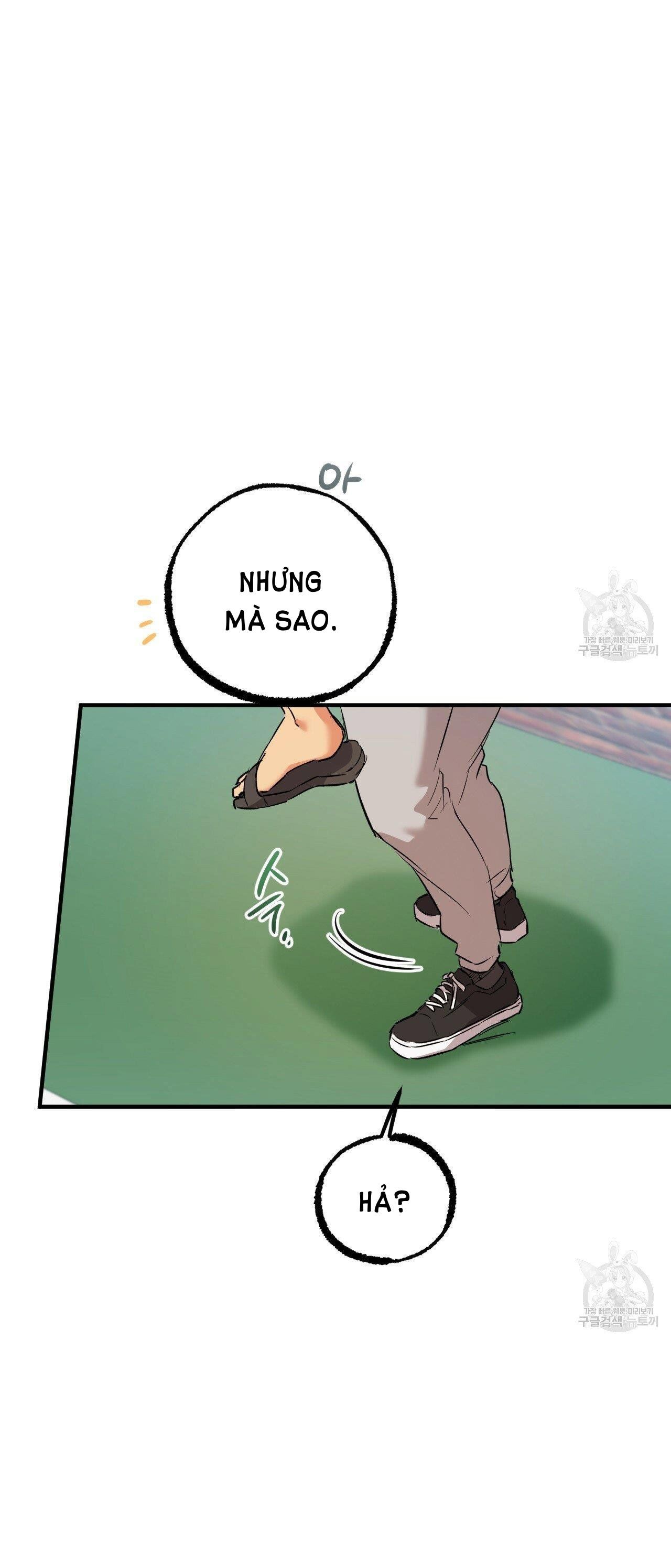 đọc truyện Những Chú Thỏ Của Hapypy Chương 53.2 ảnh 23 tại Giả Dược