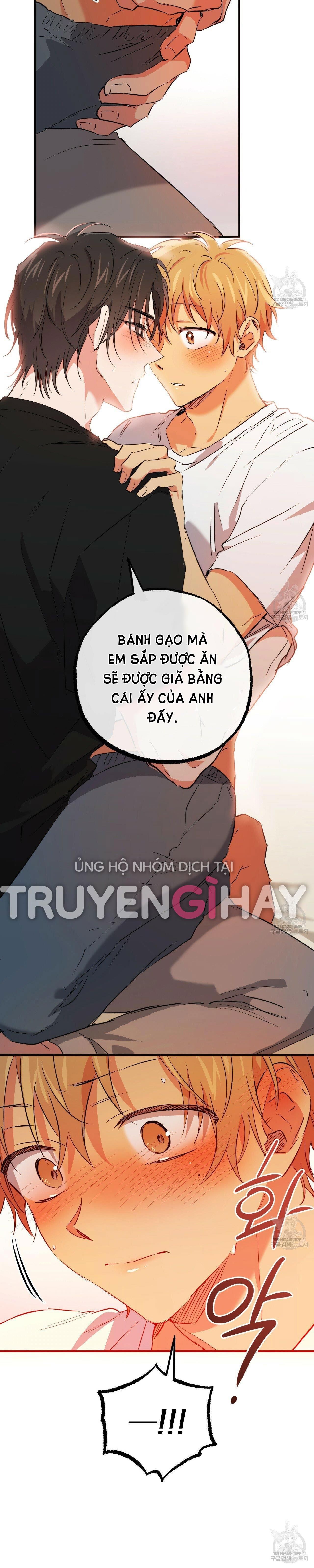 đọc truyện Những Chú Thỏ Của Hapypy Chương 53.2 ảnh 41 tại Giả Dược