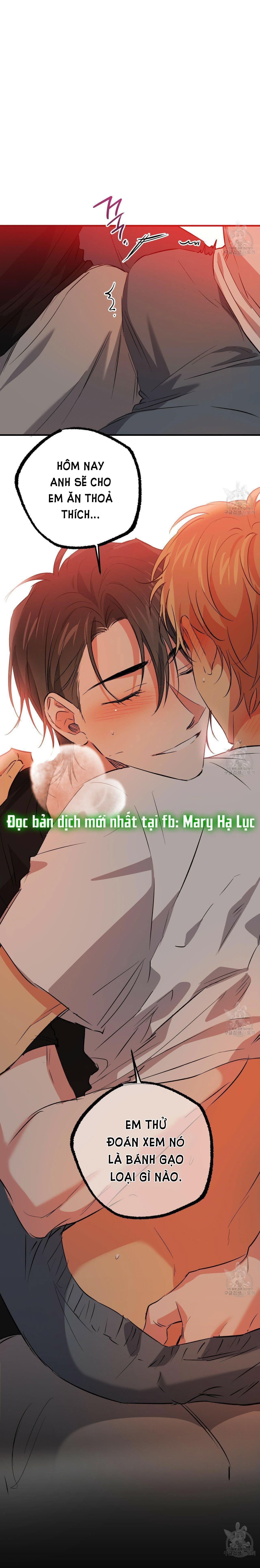 đọc truyện Những Chú Thỏ Của Hapypy Chương 53.2 ảnh 42 tại Giả Dược