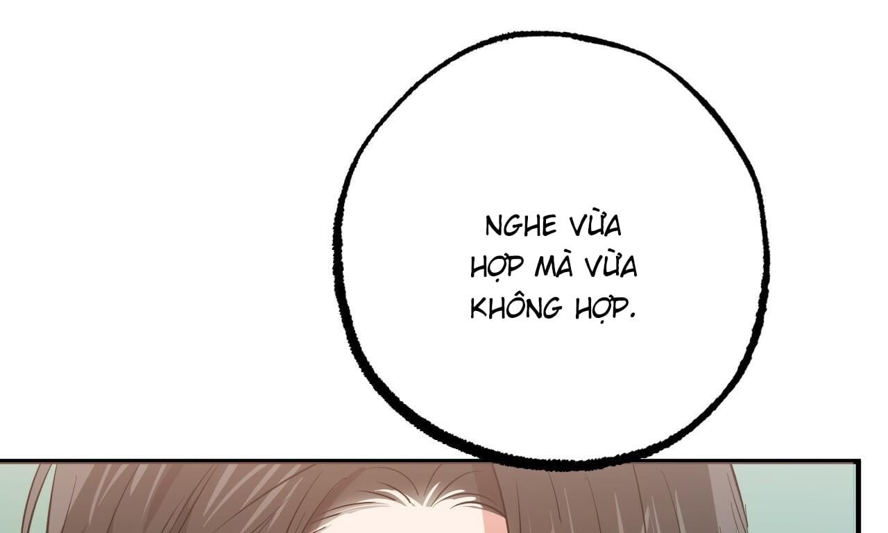 đọc truyện Những Chú Thỏ Của Hapypy Chương 53 ảnh 178 tại Giả Dược