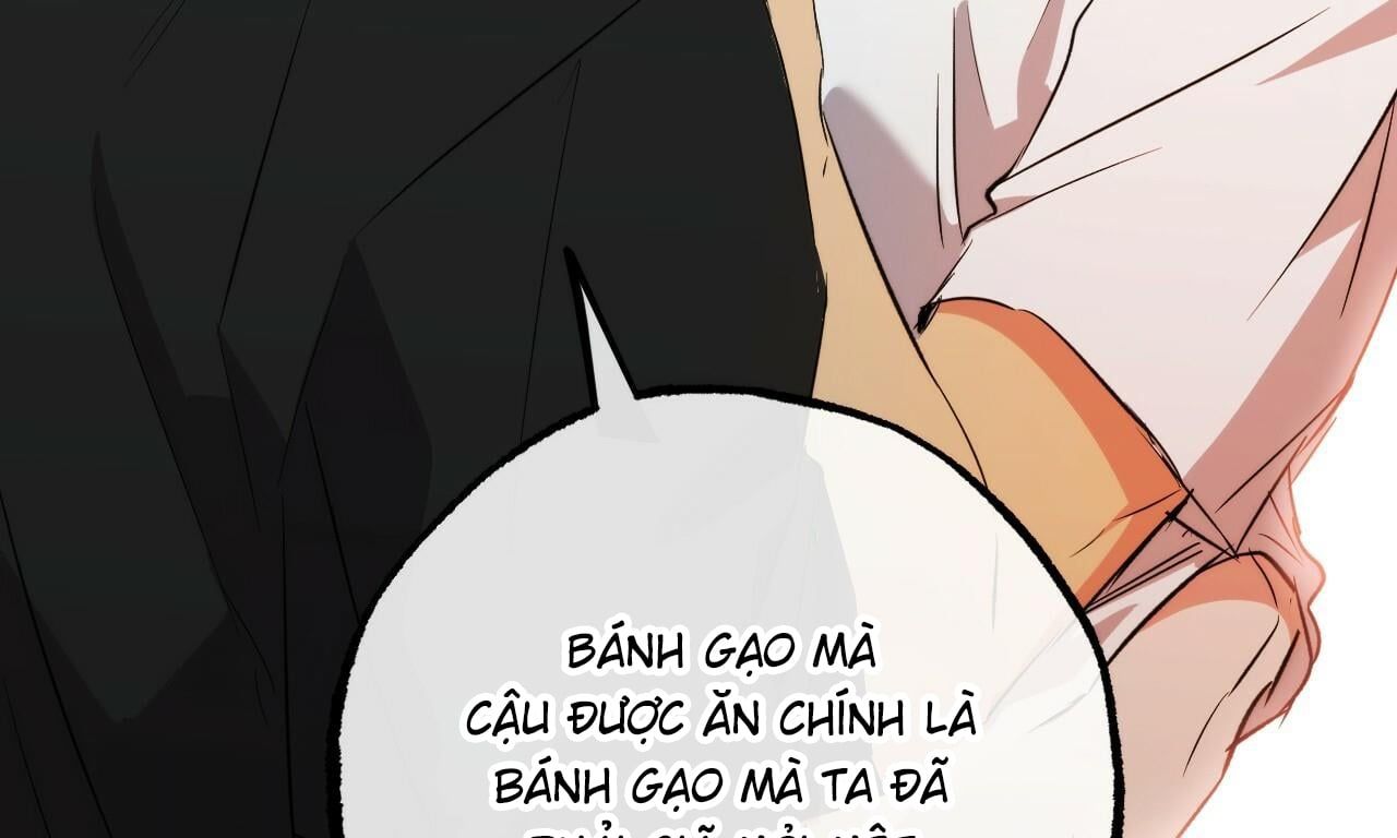 đọc truyện Những Chú Thỏ Của Hapypy Chương 53 ảnh 264 tại Giả Dược