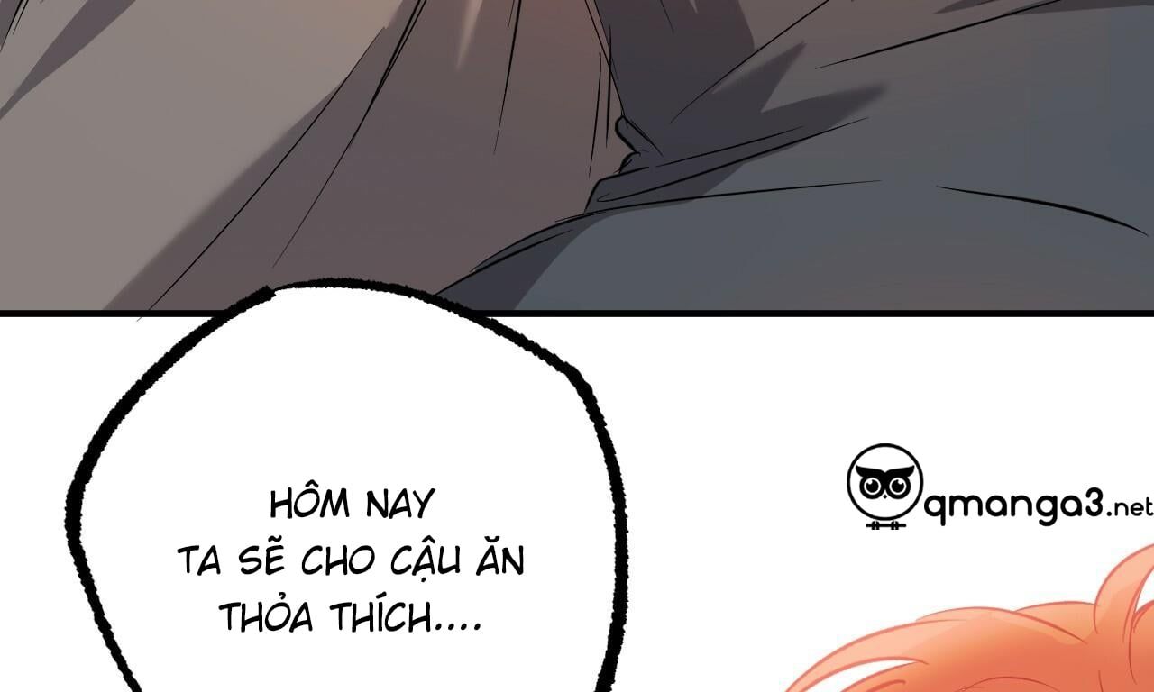 đọc truyện Những Chú Thỏ Của Hapypy Chương 53 ảnh 272 tại Giả Dược