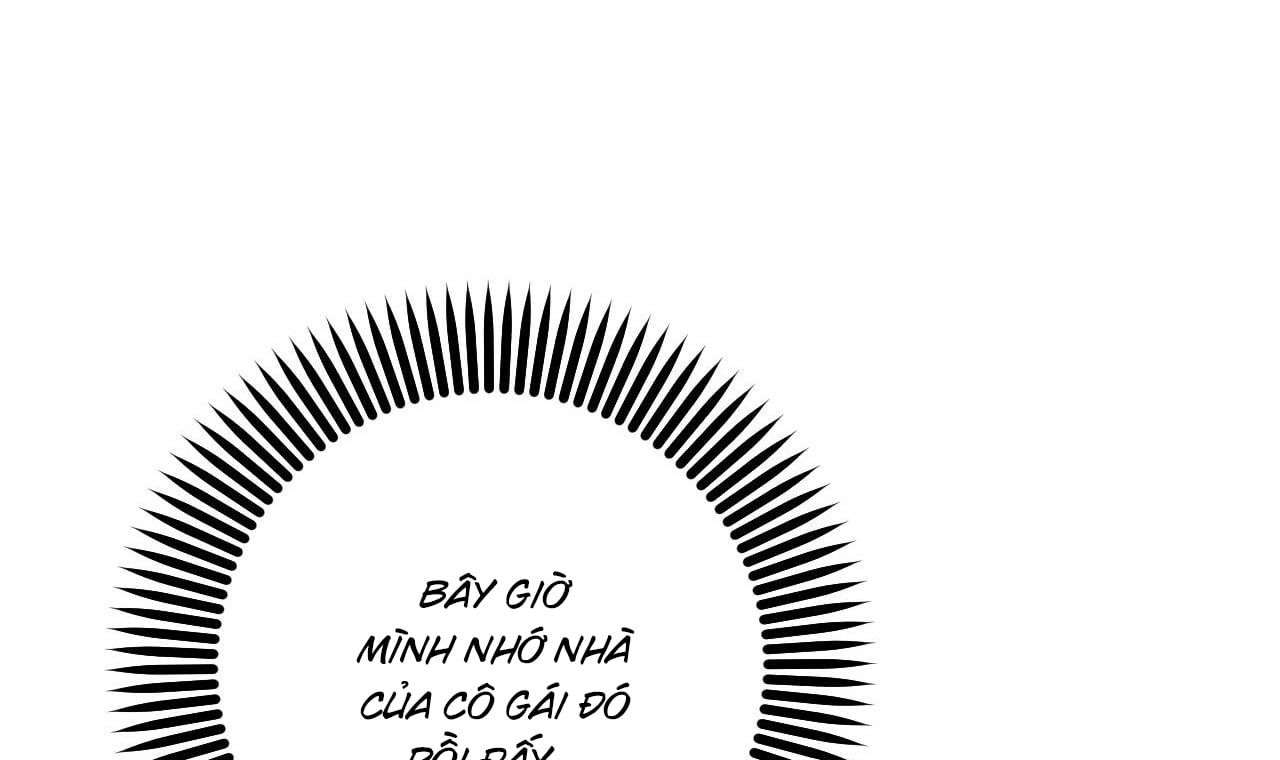 đọc truyện Những Chú Thỏ Của Hapypy Chương 53 ảnh 38 tại Giả Dược