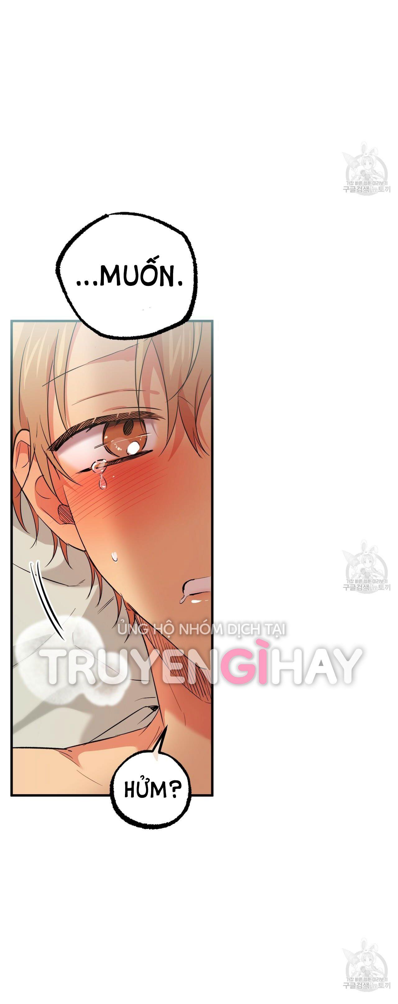 đọc truyện Những Chú Thỏ Của Hapypy Chương 54.2 ảnh 38 tại Giả Dược