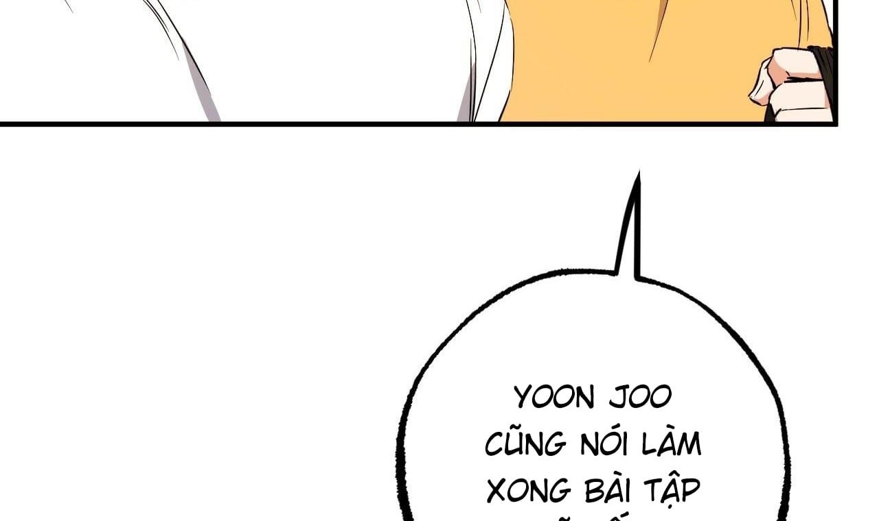 đọc truyện Những Chú Thỏ Của Hapypy Chương 56 ảnh 146 tại Giả Dược