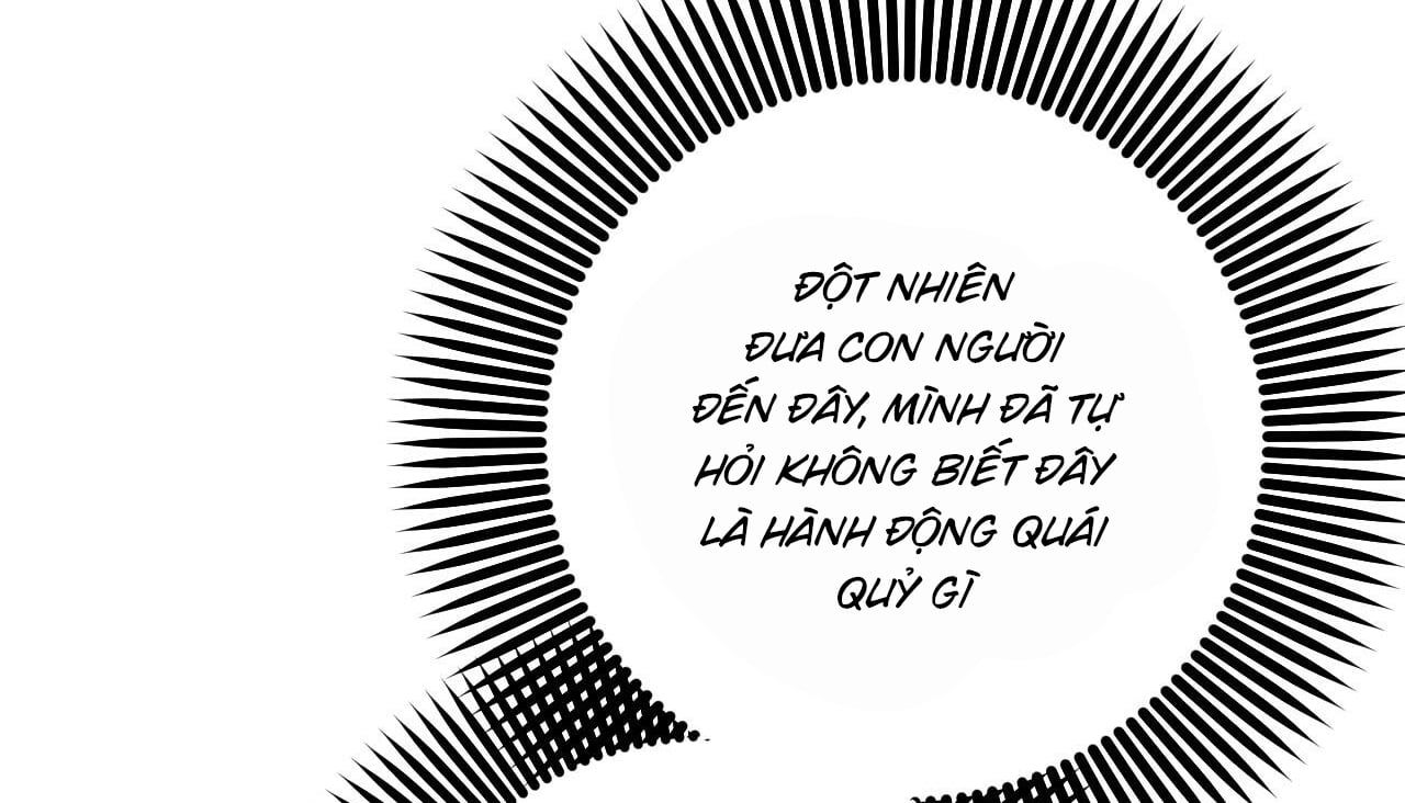 đọc truyện Những Chú Thỏ Của Hapypy Chương 56 ảnh 244 tại Giả Dược